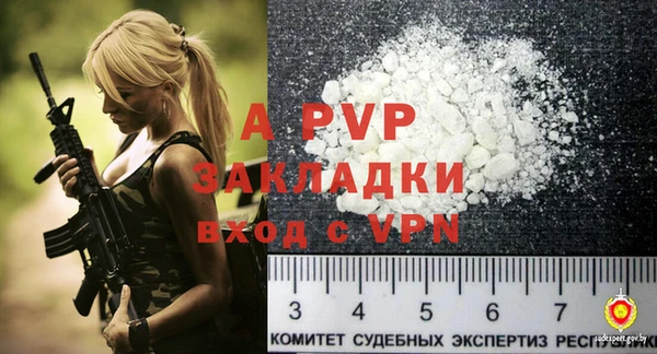 ПСИЛОЦИБИНОВЫЕ ГРИБЫ Иннополис