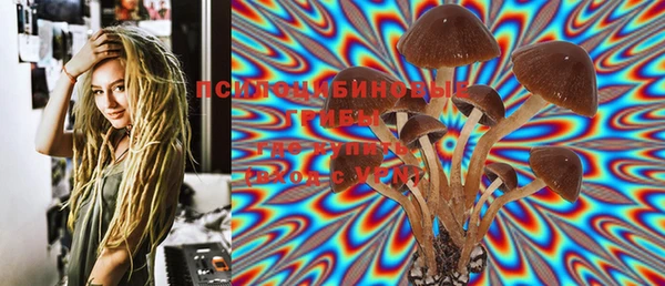 ешки Гусиноозёрск