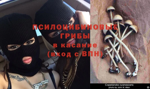 кокаин колумбия Инта
