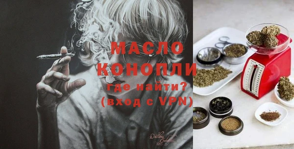 индика Гусь-Хрустальный
