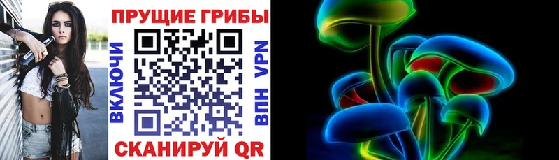 даркнет сайт Венёв omg ссылка Псилоцибиновые грибы Magic Shrooms
