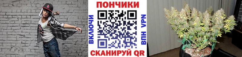 купить Венёв Марихуана марихуана